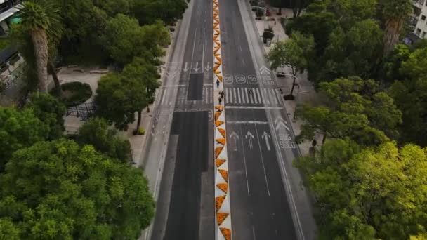 在墨西哥城的Paseo Reforma大街上行驶的汽车很少 而在这一天 鲜花是橙色的 是为了纪念阵亡将士 穿过墨西哥主要街道的汽车 — 图库视频影像