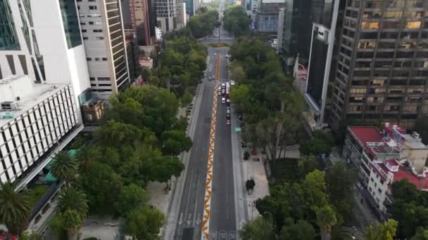 Bilar Korsar Reforma Avenyn Mexiko Stad Huvudgatan Med Cempasuchil Blommor — Stockvideo