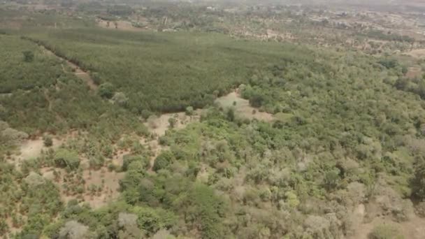 ケニアの田園地帯を一望できるキリマンジャロの斜面森林空撮 — ストック動画