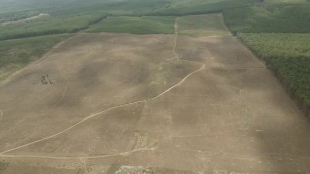 Vista Aérea Aviones Tripulados Volando Sobre Campo Rural Pastizales Sabana — Vídeos de Stock