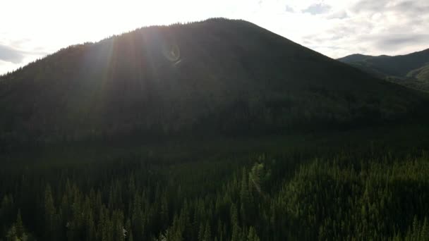 前方北アメリカの広大な山岳森林地帯に空中ショットを移動 カナダのロッキー山脈の大きな緑の山の後ろに明るい日の出 レンズフレアの原因となる光線 シネマティック4K映像 — ストック動画