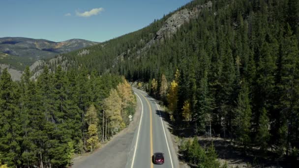 Lotnictwo Nad Górską Autostradą Leśną Jak Samochody Przechodzą Poniżej Krajobraz — Wideo stockowe