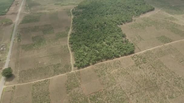 Vzdušné Drone Pohled Létání Nad Nekultivované Zelené Africké Louky Venkovské — Stock video