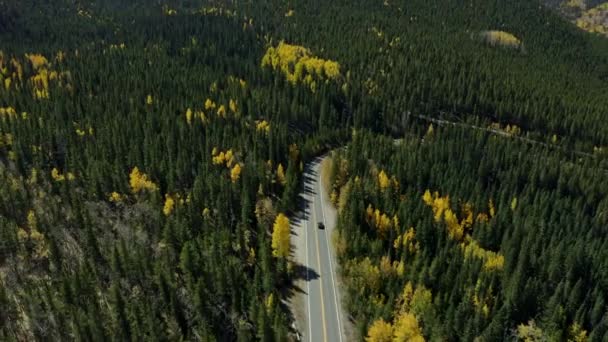Plano Aéreo Sobre Impresionante Carretera Montaña Con Colores Bosque Otoño — Vídeos de Stock