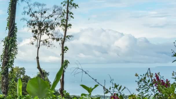 Krásná Časová Prodleva Kostarice Mraků Lesa Přírodní Krajina — Stock video