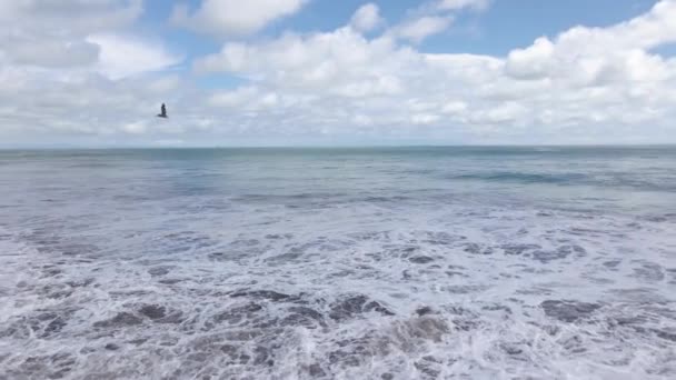 Аэросъемка Птицы Летящей Над Океаном Экзотическим Тропическим Пляжем — стоковое видео