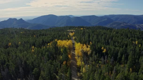 Aerial of beautiful dirt mountain road during fall with yellow aspens, 4K