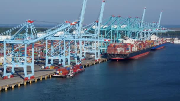 Flygfoto Drönare Hamnverksamhet Som Visar Containerfartyg Som Lossas Vid Containerterminal — Stockvideo