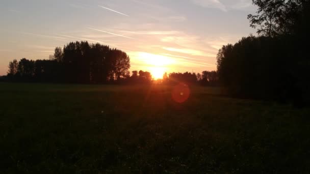 Linsenschlag Tiefflug Über Landwirtschaftliche Felder Bei Sonnenuntergang — Stockvideo