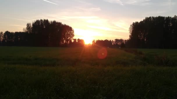 Drohne Tiefflug Bei Sonnenuntergang Über Landwirtschaftlichem Feld — Stockvideo