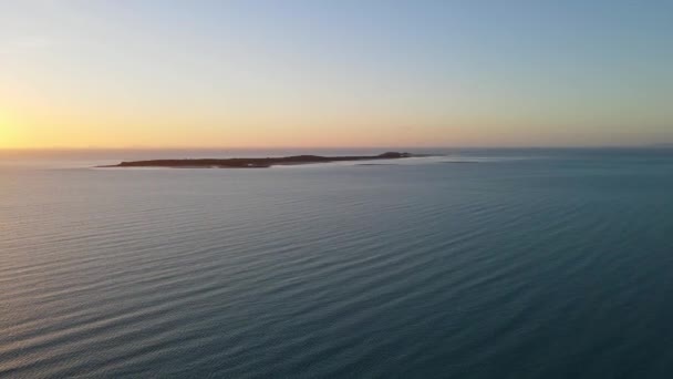 Vista Aérea Toda Isla Palomas Bandada Durante Crepúsculo Oro Qld — Vídeos de Stock