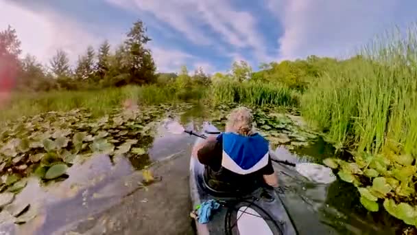 Kajakarstwo Wąskim Strumieniu Porośniętym — Wideo stockowe