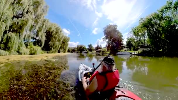 Kayaking Niagara Region Watershed — Stock Video