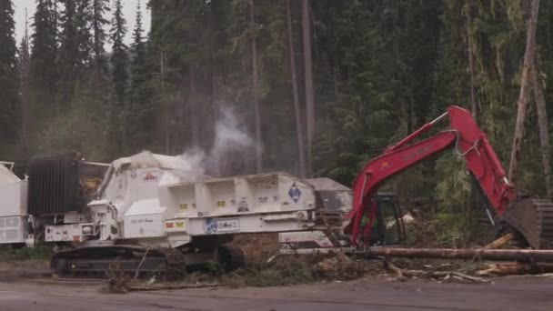 Snelwegconstructie Rijdt Voorbij Vallende Bomen — Stockvideo