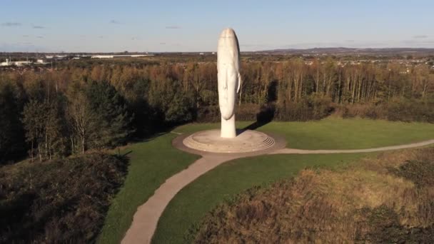 Sculpture Rêve Forêt Audacieuse Monument Visage Obélisque Statue Vue Aérienne — Video