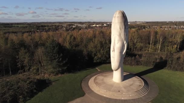 Dream Sculpture Bold Forest Landmark Face Obelisk Statue Aerial View — Stock Video