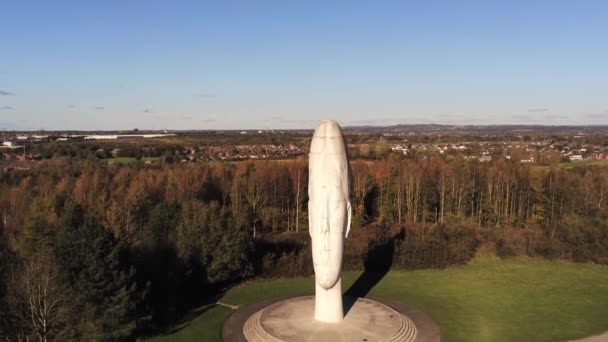 Sueño Escultura Bosque Audaz Monumento Cara Obelisco Estatua Vista Aérea — Vídeos de Stock