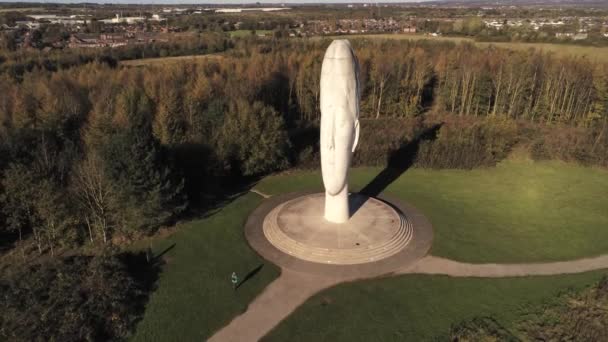 Drömskulpturen Djärv Skog Landmärke Ansikte Obelisk Staty Antenn Helens Stiger — Stockvideo