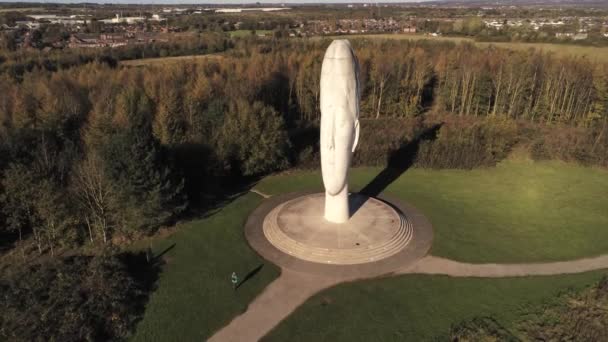 Sculpture Rêve Forêt Audacieuse Monument Visage Obélisque Statue Vue Aérienne — Video