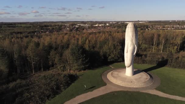 Sueño Escultura Audaz Bosque Hito Cara Obelisco Estatua Vista Aérea — Vídeos de Stock