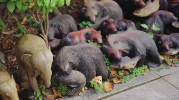 Posągi Niedźwiedzia Awashima Shrine Wakayama Japonia — Wideo stockowe