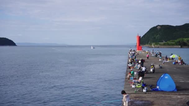 Puerto Kada Prefectura Wakayama Japón Gente Pescando Rompeolas — Vídeos de Stock