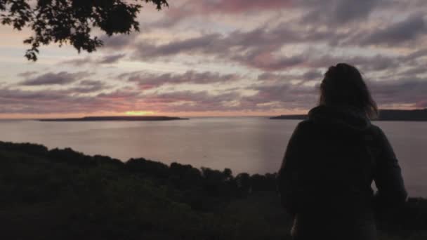 オンタリオ州グルジア湾の夕日を見る女性 — ストック動画