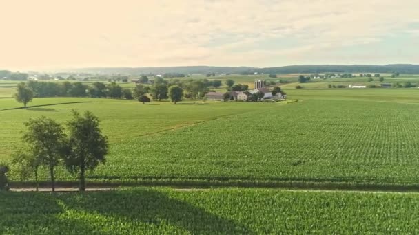 Aerial Landscape Farmlands Antique Steam Engine Passes Thru Corn Fields — Αρχείο Βίντεο