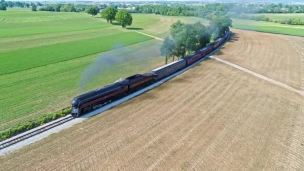 Vista Aérea Antigo Motor Vapor Treinadores Passageiros Viajando Pelo Campo — Vídeo de Stock