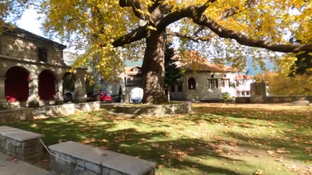 Όμορφο Μεγάλο Δέντρο Φθινόπωρο Στο Μέτσοβο — Αρχείο Βίντεο