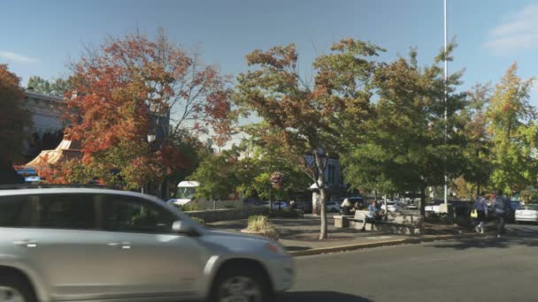 Stadtblick Auf Den Öffentlichen Park Während Des Oregon Shakespeare Festival — Stockvideo