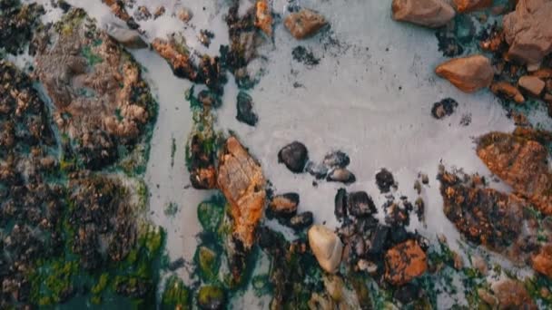 Ovanifrån Atlanten Vågor Kraschar Mot Vackra Naturliga Röda Bruna Stenar — Stockvideo