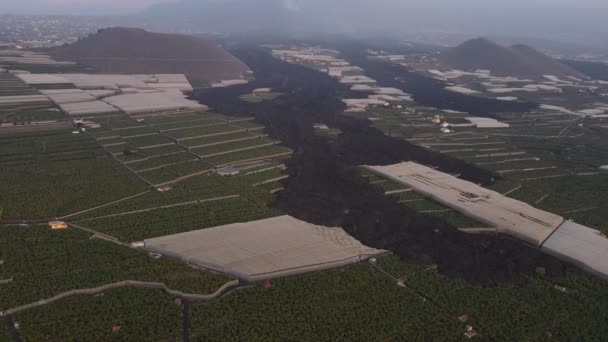 カナリア諸島のラ パルマでのビーヤ火山の噴火の後 溶岩によって侵略されたバナナ農園のフィールド 空中ドローンビュー — ストック動画