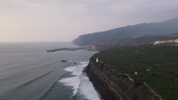 Luchtfoto Naar Voren Langs Kliffen Van Bananenplantage Velden Tazacorte Haven — Stockvideo