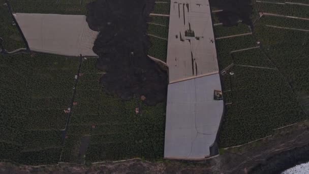 拉帕尔马岛Cumbre Vieja火山爆发后熔岩对香蕉种植园造成的破坏 空中倾斜揭示 — 图库视频影像