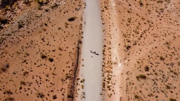 Persone Che Camminano Strada Deserta Con Auto — Video Stock