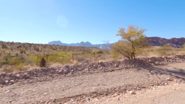 Çölün Arkasındaki Nevada Dağları — Stok video