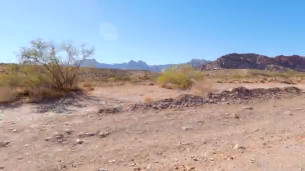 Montanhas Nevada Deserto — Vídeo de Stock