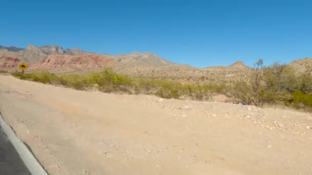 Désert Route Cheval Signe Équitation — Video