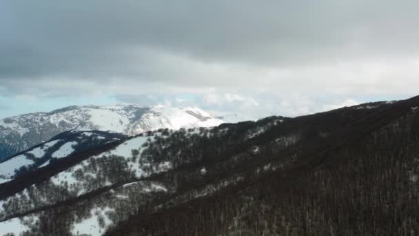 Vista Aérea Una Montaña Nevada Bosque Madonie Sicilia Italia Seguimiento — Vídeos de Stock