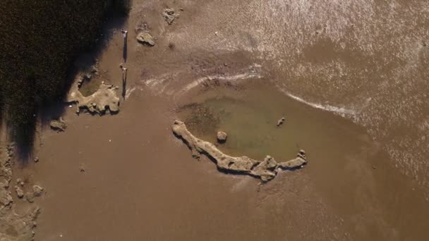 Aerial Top Shot Two People Walking River Path Green Plants — Vídeo de Stock