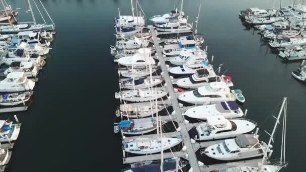 サンディエゴ マリーナ カリフォルニア州のヨットやセーリングボートの俯瞰 — ストック動画