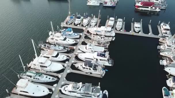 Dure Jachten Zeilboten San Diego Marina Californië Uitzicht Vanuit Lucht — Stockvideo