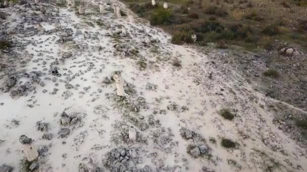 Veduta Aerea Sopra Formazioni Rocciose Nella Foresta Pietra Serata Sole — Video Stock