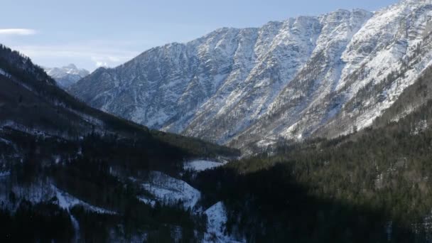 Vista Aérea Avanzando Vista Panorámica Del Paisaje Cubierto Nieve Pinos — Vídeos de Stock