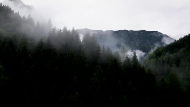 Slovenië Misty Mountain Landscape Aerial Drone Mp4 — Stockvideo