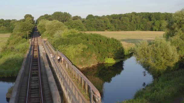 Caméra Zoomant Sur Une Prairie Traversée Par Ruisseau Scintillant Entourée — Video