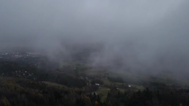 Vliegen Het Landschap Het Bos Onder Dikke Mist Rond Tijdens — Stockvideo