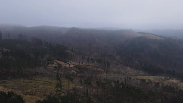 Flyger Över Landskapet Och Skogen Den Tjocka Dimman Runt Vinterkvällen — Stockvideo