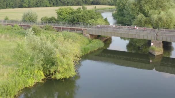Pohled Louku Protkanou Železniční Tratí Obklopenou Bujným Zeleným Lesem — Stock video